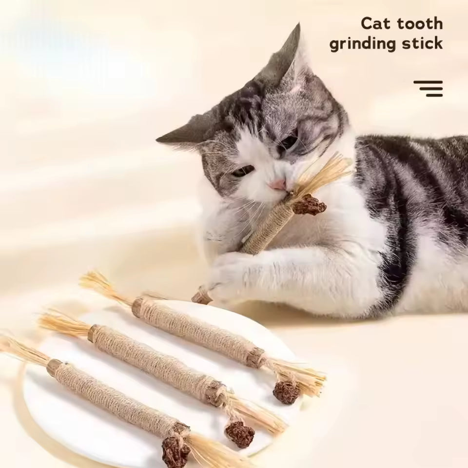 Catnip Cat Toy