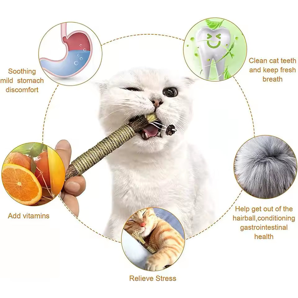 Catnip Cat Toy