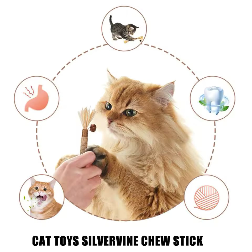 Catnip Cat Toy