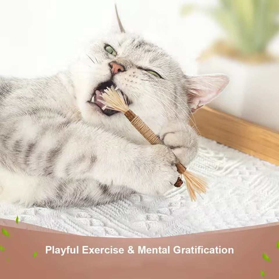 Catnip Cat Toy