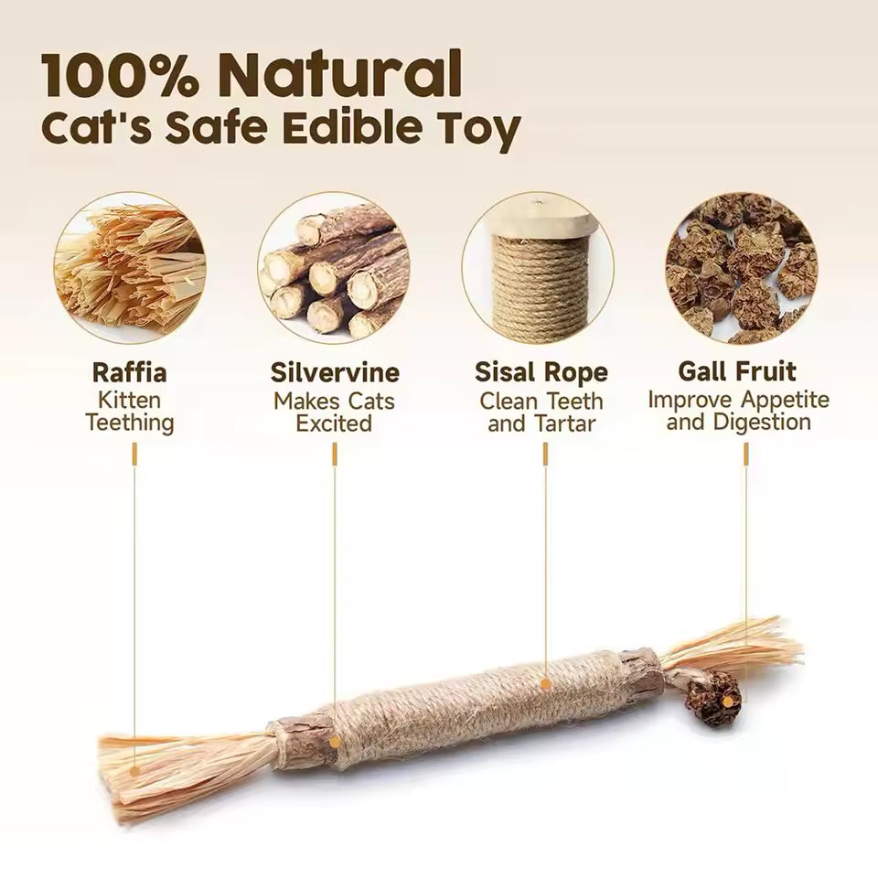 Catnip Cat Toy