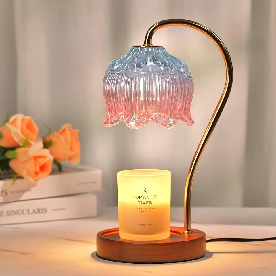 Strawberry Shortcake Strawberry Touch Lamp
