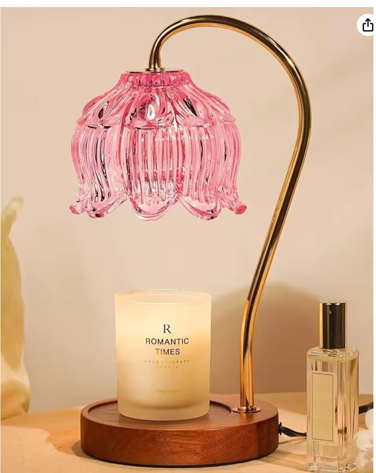 Strawberry Shortcake Strawberry Touch Lamp